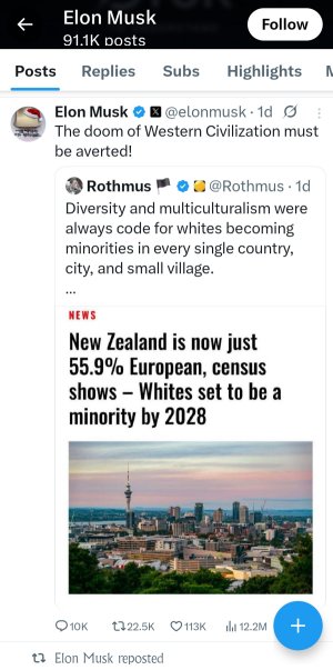 Elon Musk versus la minoría blanca